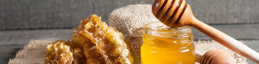 Мед из авокадо – польза и вред