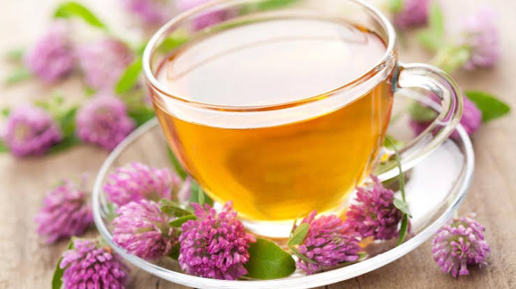 Иван-чай: полезные свойства и противопоказания