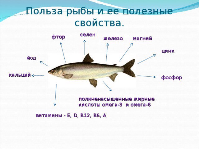 Чем полезна рыба для детей школьного возраста